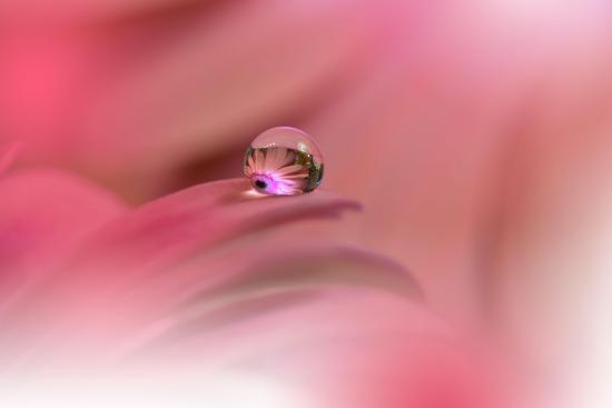 Photo, , large