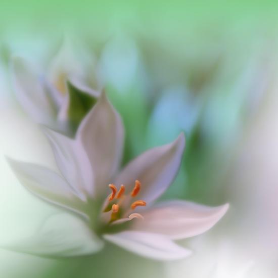 Photo, , large