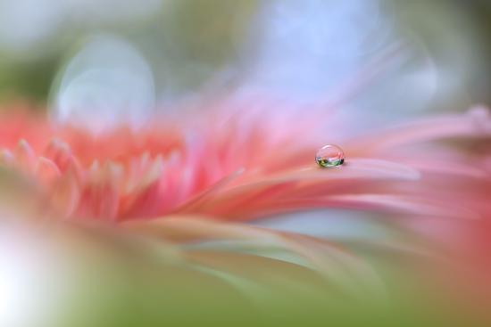 Photo, , large