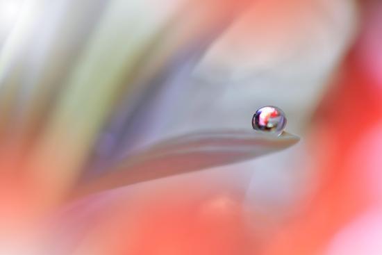 Photo, , large