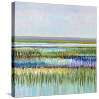 Beautiful Marshland-Libby Smart-Stretched Canvas