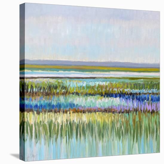 Beautiful Marshland-Libby Smart-Stretched Canvas