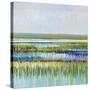 Beautiful Marshland-Libby Smart-Stretched Canvas