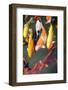 Beautiful Mature Koi Carp Swimming in a Tropical Pond-Juriah-Framed Photographic Print