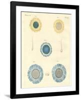 Beautiful Medusas-null-Framed Giclee Print