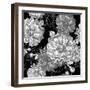 Beautiful Monochrome Rose Background-Varvara Kurakina-Framed Art Print