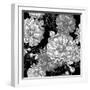 Beautiful Monochrome Rose Background-Varvara Kurakina-Framed Art Print