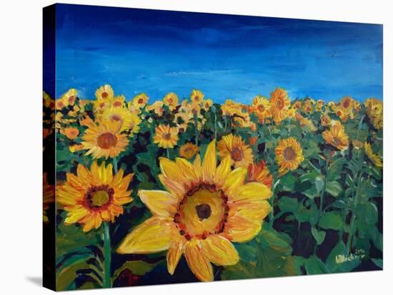 Beautiful Morning At Sunflower Fields-Markus Bleichner-Stretched Canvas