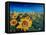 Beautiful Morning At Sunflower Fields-Markus Bleichner-Framed Stretched Canvas