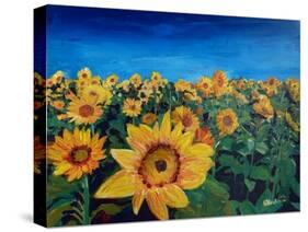 Beautiful Morning At Sunflower Fields-Markus Bleichner-Stretched Canvas