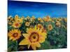 Beautiful Morning At Sunflower Fields-Markus Bleichner-Mounted Art Print