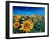 Beautiful Morning At Sunflower Fields-Markus Bleichner-Framed Art Print