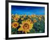 Beautiful Morning At Sunflower Fields-Markus Bleichner-Framed Art Print