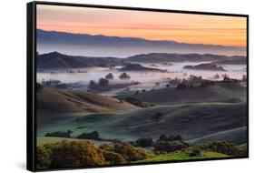 Beautiful Morning Hills and Fog Petaluma Sonoma California-Vincent James-Framed Stretched Canvas