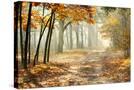 Stretched Canvas