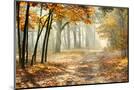 Wood Mount