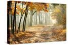Stretched Canvas