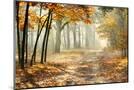 Wood Mount