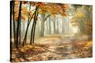 Stretched Canvas