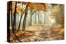 Stretched Canvas