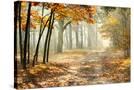 Stretched Canvas
