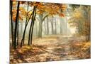 Wood Mount