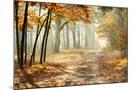 Wood Mount