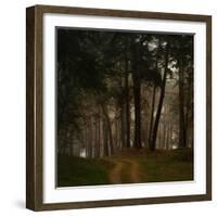 Beautiful Morning in the Misty Autumn Forest-Taras Lesiv-Framed Photographic Print