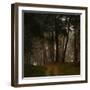 Beautiful Morning in the Misty Autumn Forest-Taras Lesiv-Framed Photographic Print