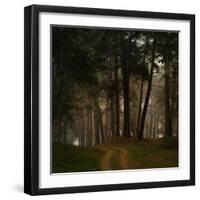 Beautiful Morning in the Misty Autumn Forest-Taras Lesiv-Framed Photographic Print