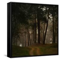 Beautiful Morning in the Misty Autumn Forest-Taras Lesiv-Framed Stretched Canvas