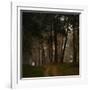 Beautiful Morning in the Misty Autumn Forest-Taras Lesiv-Framed Photographic Print