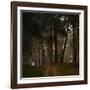 Beautiful Morning in the Misty Autumn Forest-Taras Lesiv-Framed Photographic Print