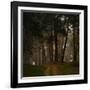 Beautiful Morning in the Misty Autumn Forest-Taras Lesiv-Framed Photographic Print