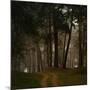 Beautiful Morning in the Misty Autumn Forest-Taras Lesiv-Mounted Photographic Print