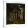 Beautiful Morning in the Misty Autumn Forest-Taras Lesiv-Framed Photographic Print