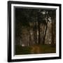 Beautiful Morning in the Misty Autumn Forest-Taras Lesiv-Framed Photographic Print