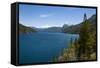 Beautiful Mountain Lake in the Los Alerces National Park-Michael Runkel-Framed Stretched Canvas