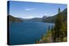 Beautiful Mountain Lake in the Los Alerces National Park-Michael Runkel-Stretched Canvas