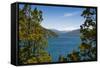 Beautiful Mountain Lake in the Los Alerces National Park-Michael Runkel-Framed Stretched Canvas