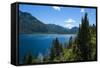 Beautiful Mountain Lake in the Los Alerces National Park-Michael Runkel-Framed Stretched Canvas