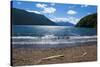 Beautiful Mountain Lake in the Los Alerces National Park-Michael Runkel-Stretched Canvas