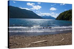 Beautiful Mountain Lake in the Los Alerces National Park-Michael Runkel-Stretched Canvas