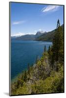 Beautiful Mountain Lake in the Los Alerces National Park-Michael Runkel-Mounted Photographic Print