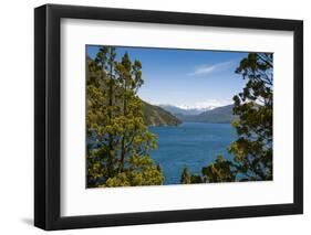 Beautiful Mountain Lake in the Los Alerces National Park-Michael Runkel-Framed Photographic Print