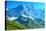 Beautiful Mountain on Summer Time-mr. Smith-Stretched Canvas