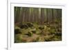 Beautiful Mysterious Forest with Large Mossy Stones-Anton Petrus-Framed Photographic Print