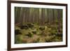 Beautiful Mysterious Forest with Large Mossy Stones-Anton Petrus-Framed Photographic Print