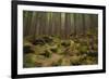 Beautiful Mysterious Forest with Large Mossy Stones-Anton Petrus-Framed Photographic Print