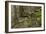 Beautiful Mysterious Forest with Large Mossy Stones-Anton Petrus-Framed Photographic Print